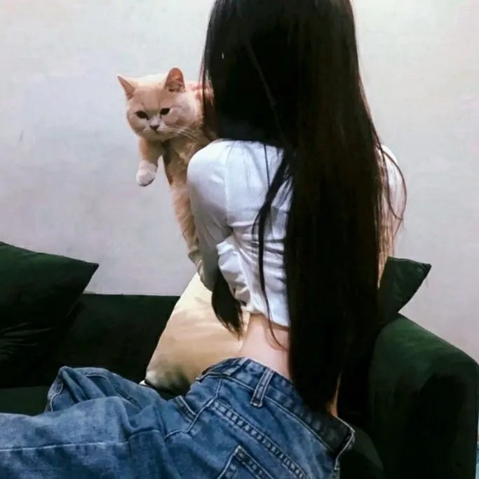 双面特工
